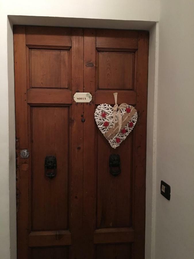 Il Nido Di Sofia Apartment Флоренция Екстериор снимка